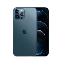 iPhone 12 Pro Max (Microbe-X)